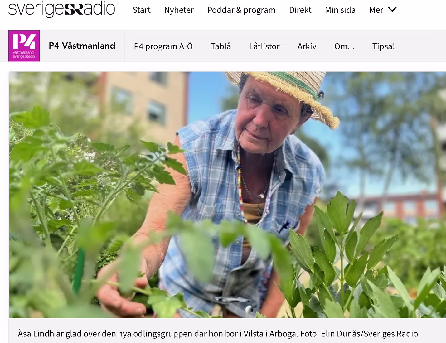 Odling ska öka tryggheten för hyresgäster