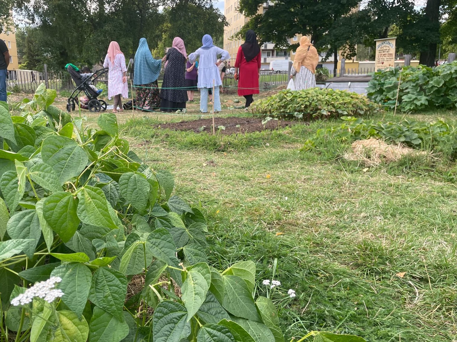 Odlingar i Brunnsäng och Geneta – bild 2
