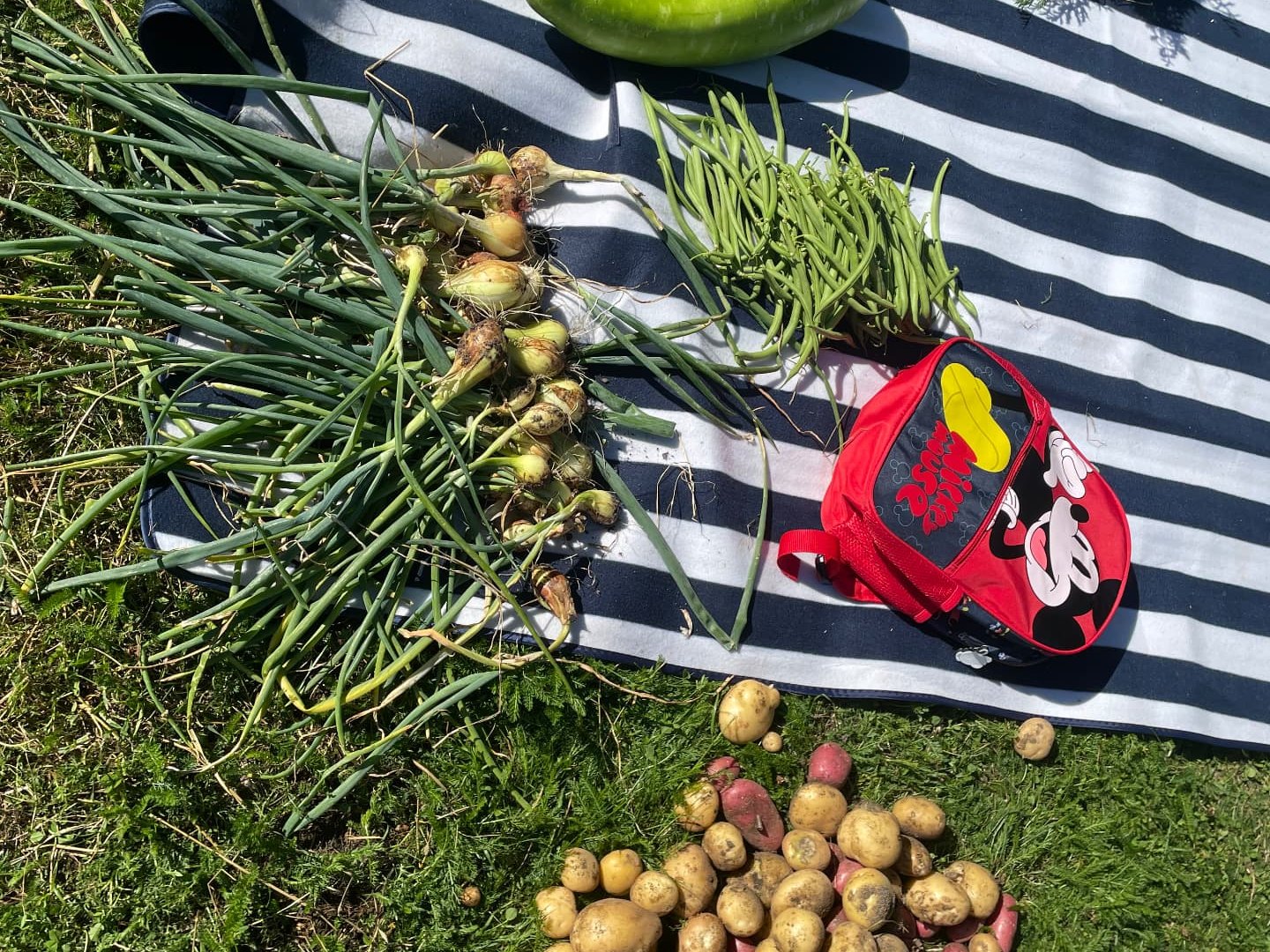 Odlingar i Brunnsäng och Geneta – bild 3