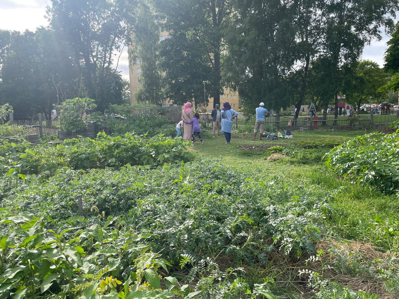 Odlingar i Brunnsäng och Geneta – bild 4