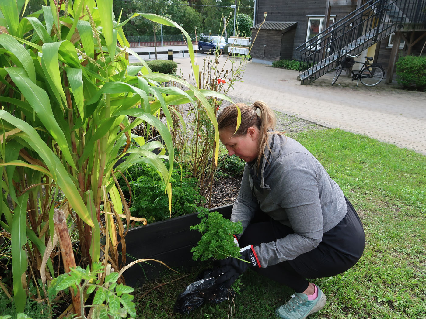 Tornets kvartersodling – bild 6