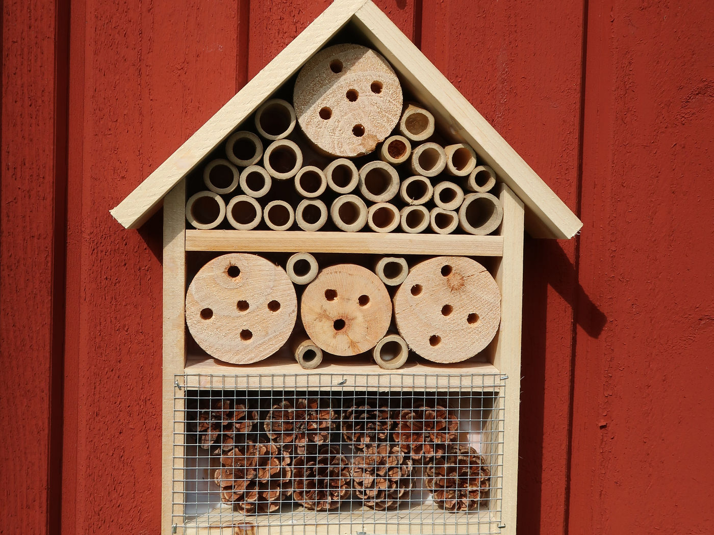 Victoriahems boendeodlingar – bild 6